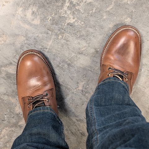 Oak Street Bootmakers Storm Boot in Horween Natural Chromexcel