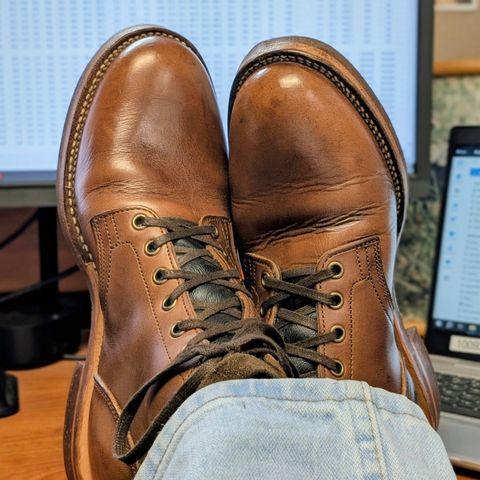 Oak Street Bootmakers Storm Boot in Horween Natural Chromexcel