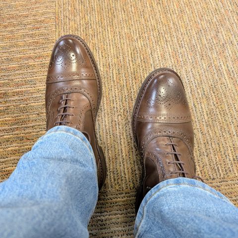 Allen Edmonds Hamilton in Allen Edmonds Brown