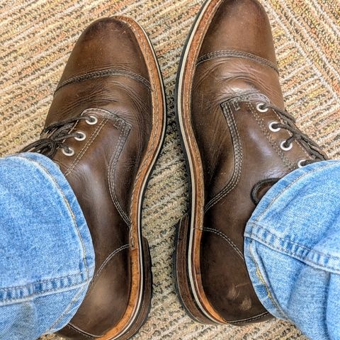 HELM The Hollis in Krumenauer Olive