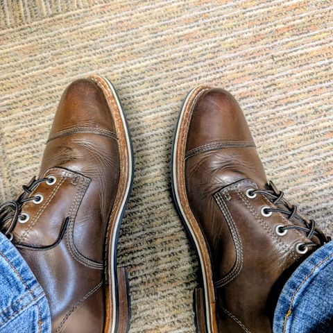 HELM The Hollis in Krumenauer Olive