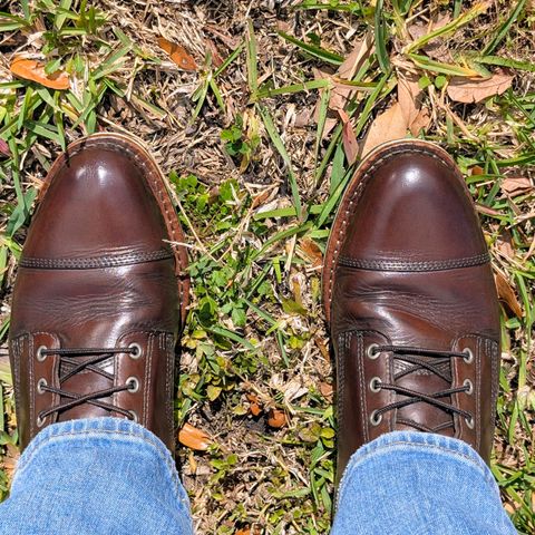 HELM The Hollis in Krumenauer Olive