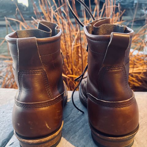 White's 350 Cutter in Horween British Tan Chromexcel
