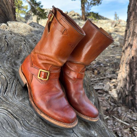 Wesco Mister Lou in Maryam Natural Horsebutt