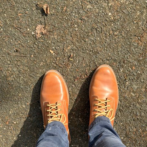 Junkard SC Plain Toe in Rocado Unglazed Natural Shell Cordovan