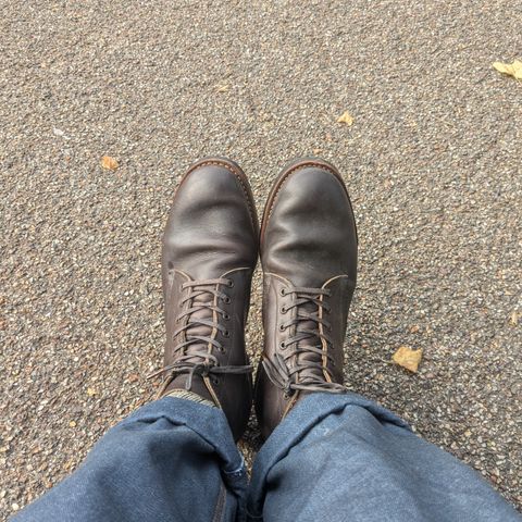 Red Wing Merchant in S.B. Foot Ebony Harness