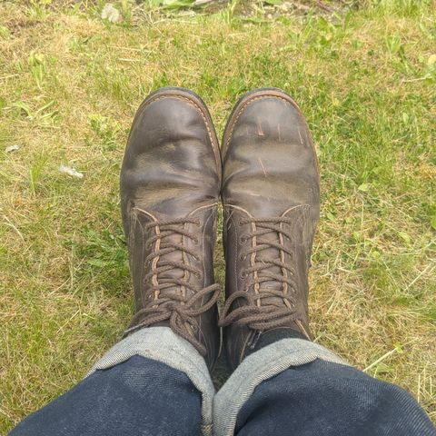 Red Wing Merchant in S.B. Foot Ebony Harness