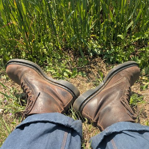 Dr. Martens 1460 Made In England in C.F. Stead Brown Waxy Comader