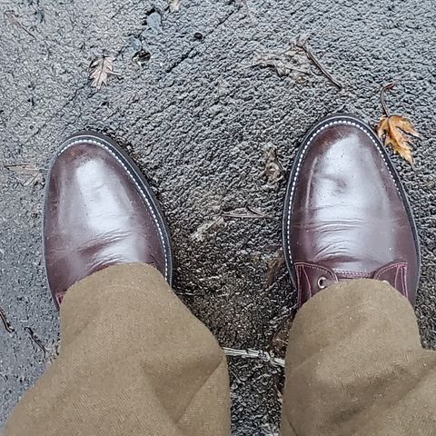 TXTURE Txture / Pacific boots in Red Wine Pull Up (local)