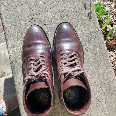 TXTURE Txture / Pacific boots in Red Wine Pull Up (local)