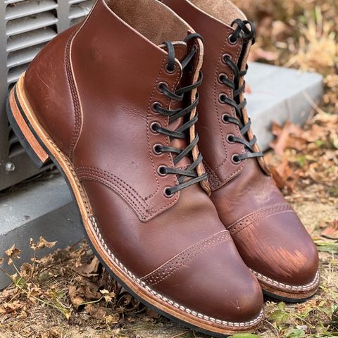 Viberg Service Boot BCT in Horween Pigment Brown Workshoe Butt