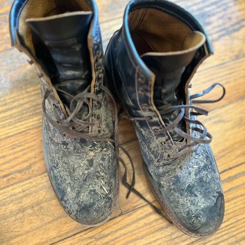 Red Wing Beckman Flatbox in S.B. Foot Black Klondike