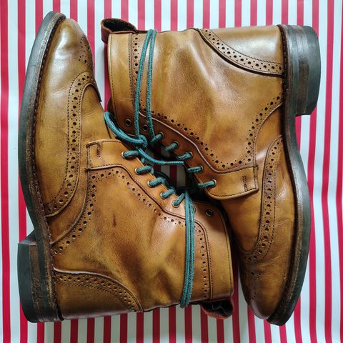 Allen Edmonds Dalton Wingtip Dress Boot in Walnut Calfskin