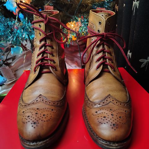 Allen Edmonds Dalton Wingtip Dress Boot in Walnut Calfskin