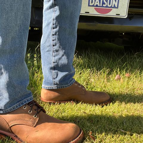 Nicks Hot Shot in Seidel WeatherShield Brown Smooth