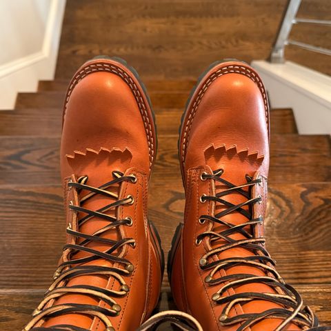 Nicks DomePro in Wickett & Craig Tan English Bridle