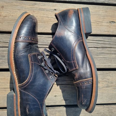 Search result thumbnail of Argo Oxford Shoes Winch in Maryam Black Horsebutt