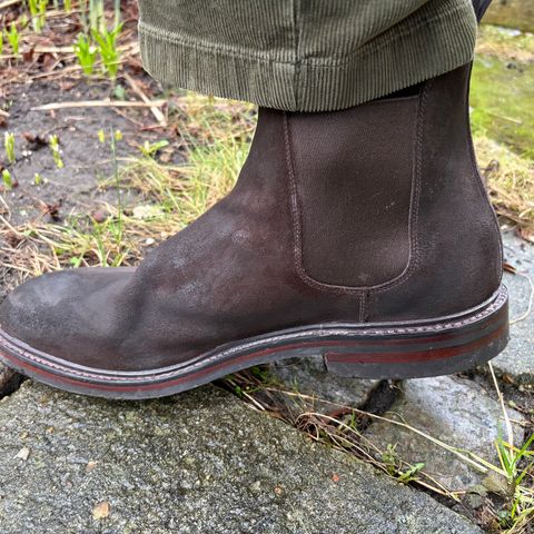 Crockett & Jones Chelsea 11 in Dark Brown Roughout Suede