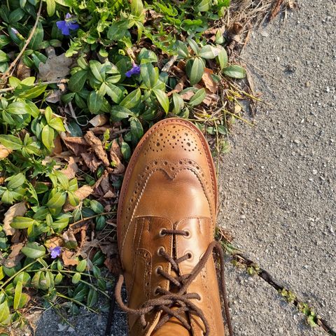 Tricker's Stow Country Boot in Horween Natural Chromexcel