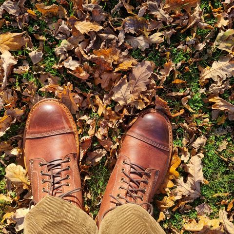 Astorflex Astorflex/ Legendflex in Astorflex / Dark Chestnut