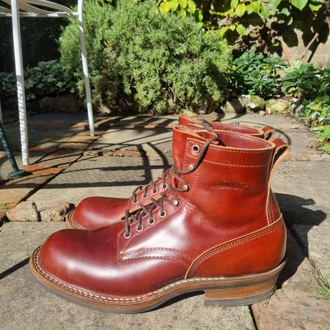 White's 350 Cruiser in Seidel British Tan Double Shot