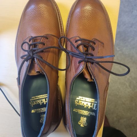 Tricker's Woodstock Derby in Marron Muflone