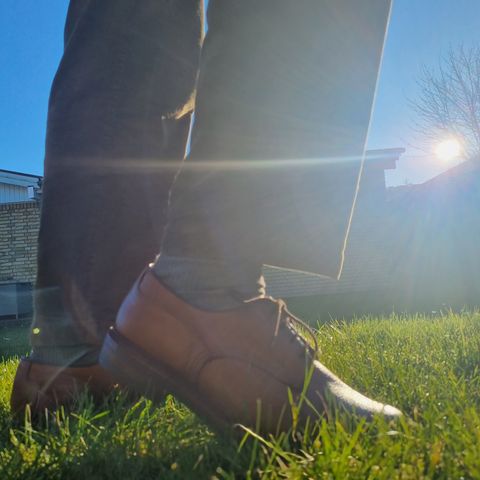 Tricker's Woodstock Derby in Marron Muflone