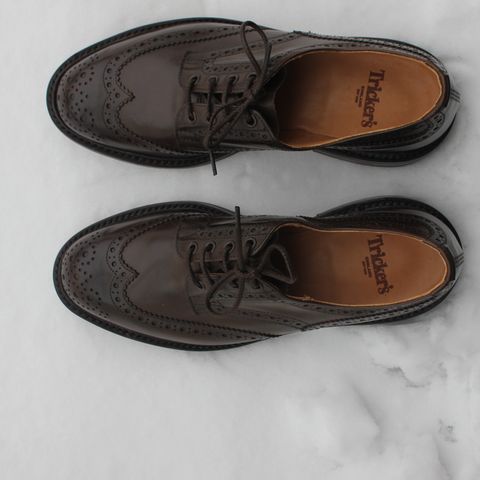 Tricker's Bourton Country Shoe in Espresso Burnished Calf