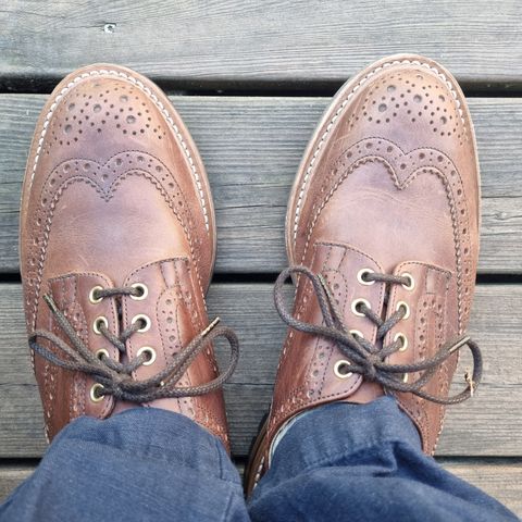 Tricker's Bourton Country Shoe in Whiskey Pampus