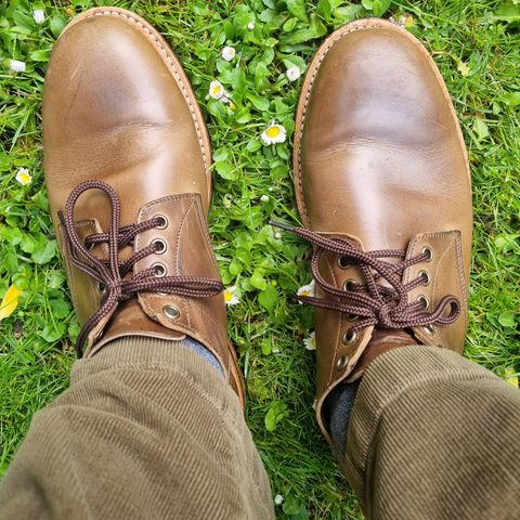 Oak Street Bootmakers Trench Oxford in Horween Natural Chromexcel