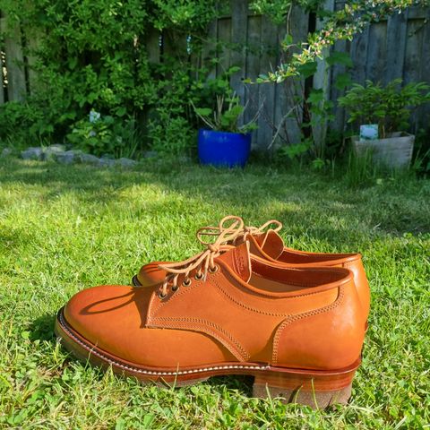 Jakkrabbits Derby Shoes in Badalassi Carlo Olmo Minerva