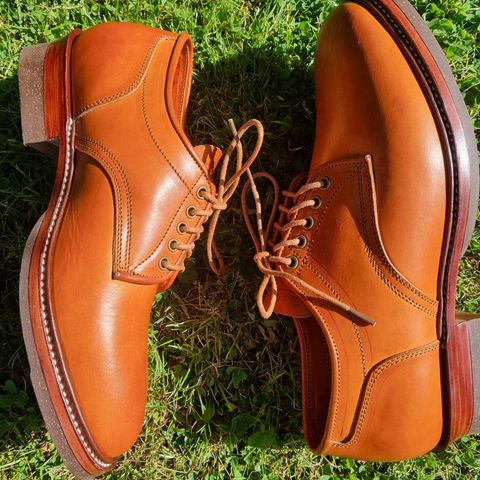 Jakkrabbits Derby Shoes in Badalassi Carlo Olmo Minerva
