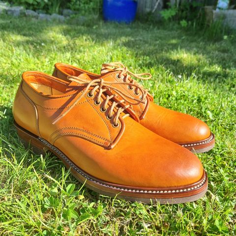 Jakkrabbits Derby Shoes in Badalassi Carlo Olmo Minerva