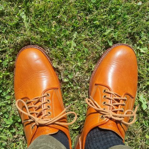 Jakkrabbits Derby Shoes in Badalassi Carlo Olmo Minerva