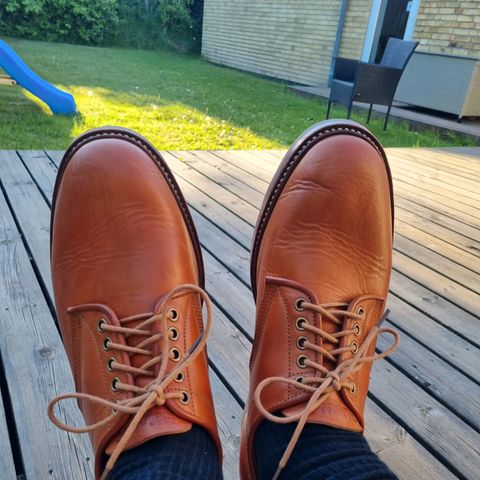 Jakkrabbits Derby Shoes in Badalassi Carlo Olmo Minerva