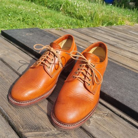 Jakkrabbits Derby Shoes in Badalassi Carlo Olmo Minerva