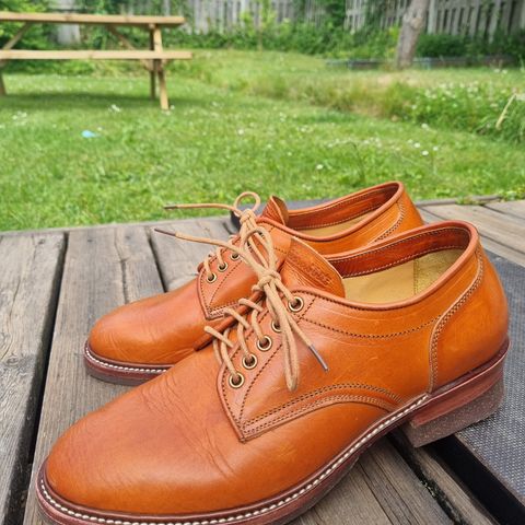 Jakkrabbits Derby Shoes in Badalassi Carlo Olmo Minerva