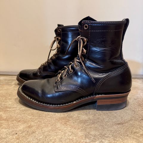 Wesco Hendrik in Seidel Black Tie Domain
