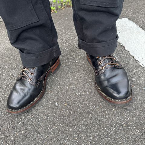 Wesco Hendrik in Seidel Black Tie Domain