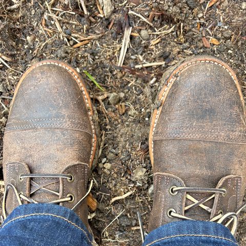 Truman Cap Toe Boot in C.F. Stead Stone Rambler