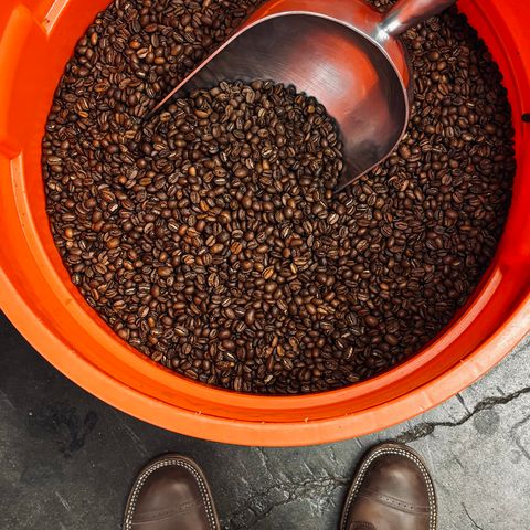 Rolling Dub Trio Roots in Original Brown Horsebutt #1010