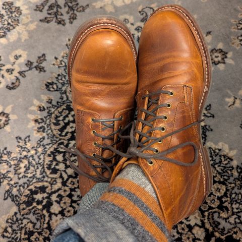 Caswell Lisbon in C.F. Stead Caramel Classic Oiled Shoulder