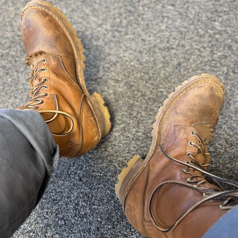 Nicks DomePro in Seidel 1964 Tan