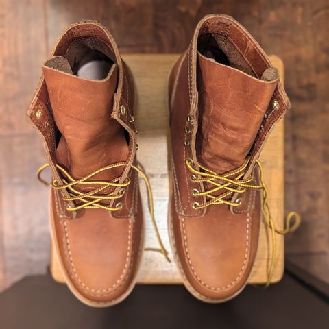 White's Perry 6" Select in Seidel Tobacco Stampede Roughout