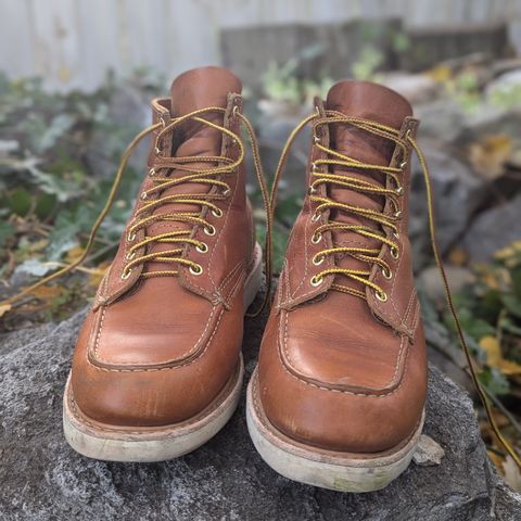 White's Perry 6" Select in Seidel Tobacco Stampede Roughout