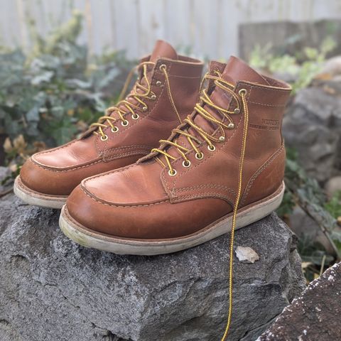 White's Perry 6" Select in Seidel Tobacco Stampede Roughout
