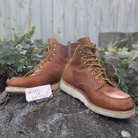 White's Perry 6" Select in Seidel Tobacco Stampede Roughout
