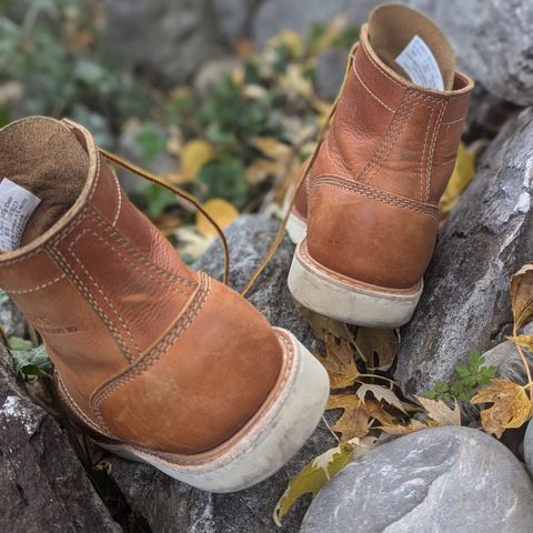 White's Perry 6" Select in Seidel Tobacco Stampede Roughout