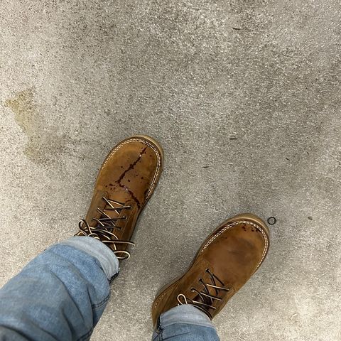 Nicks Turnbull in Seidel WeatherShield Brown
