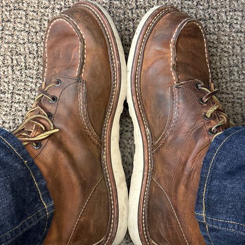 Red Wing 6-Inch Classic Moc in S.B. Foot Copper Rough and Tough